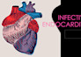 make medical presentations for conferences and seminars